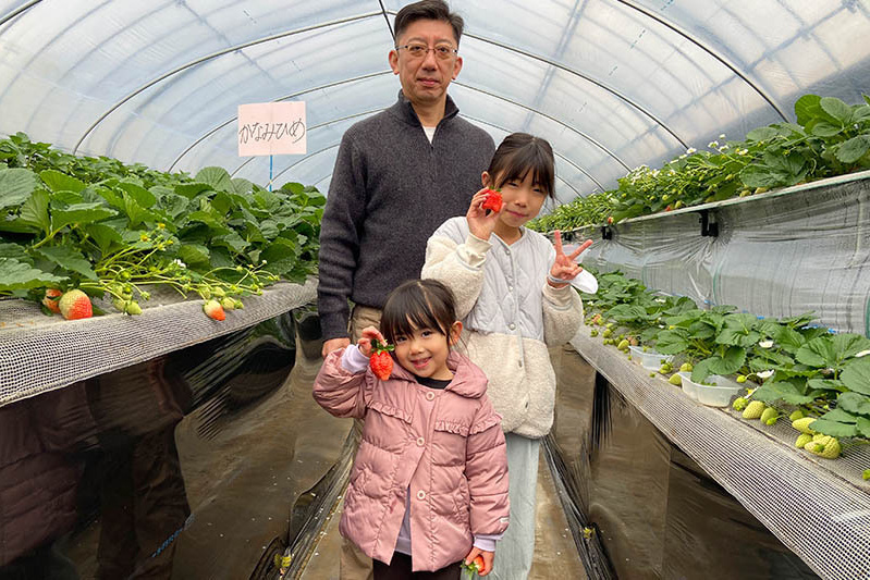 あきらいちご園苺狩り4月
