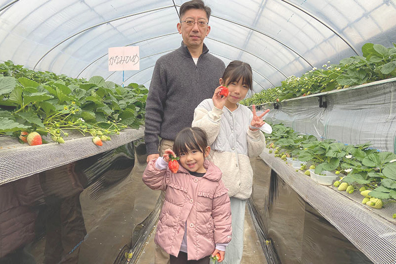 あきらいちご園苺狩り4月