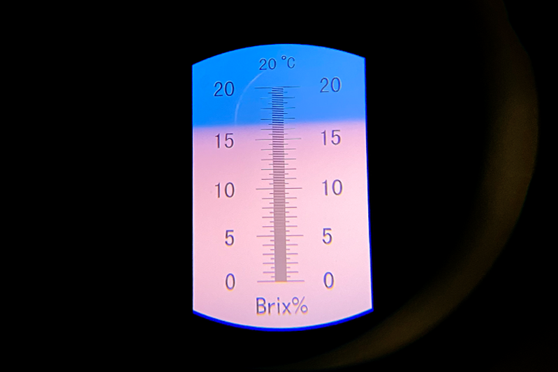 あきらいちご園苺狩り4月